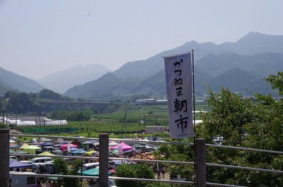 s-IMGP6444