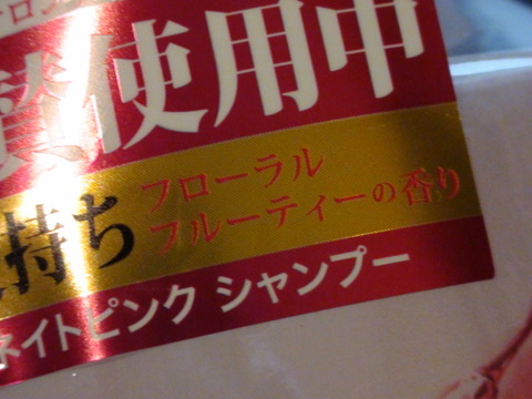 DSC04590