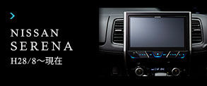 pioneer banner07_over