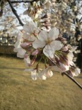 2010032216220001.jpg