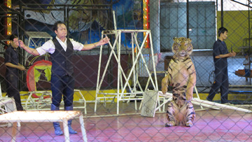zoo - 1