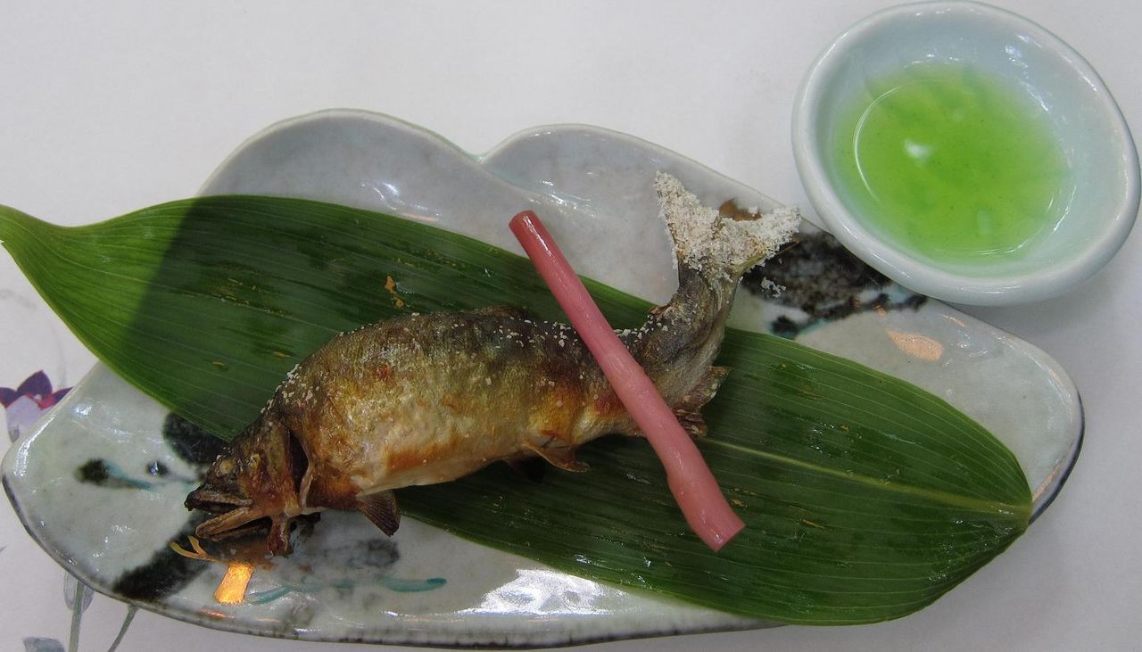 美味どす