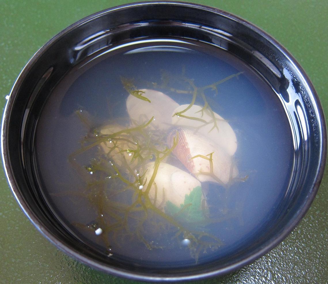 吸物