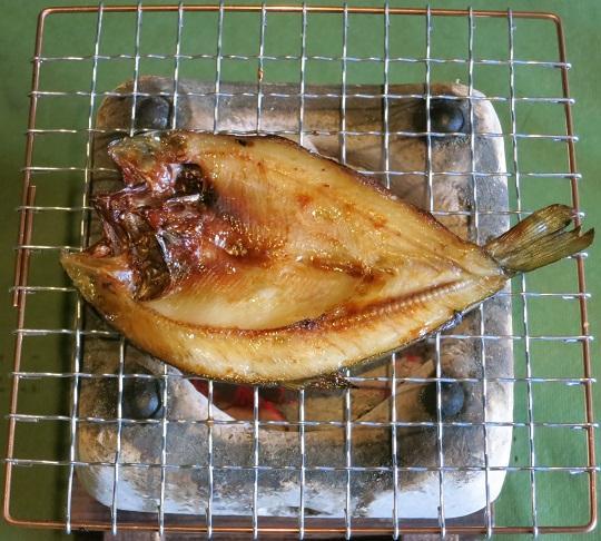 紅鱒