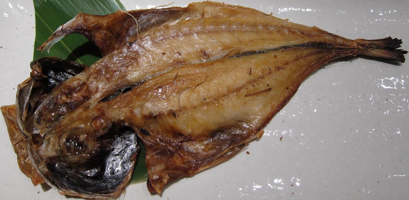 鯵