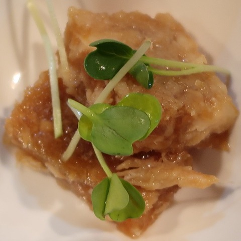 お通し(万年青)