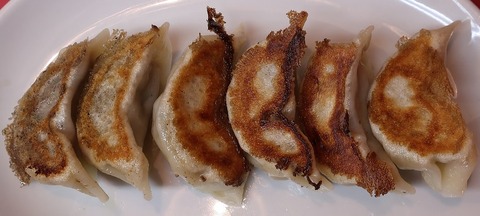 餃子(永楽)500