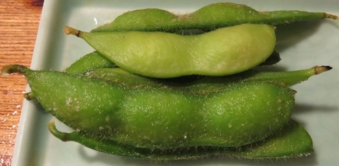 枝豆(はなふさ)