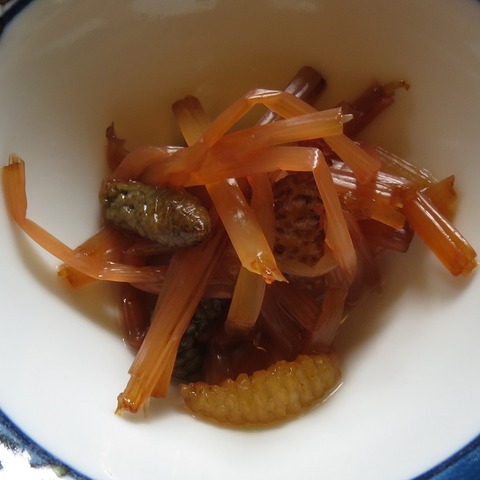 山菜⑩(兜家)