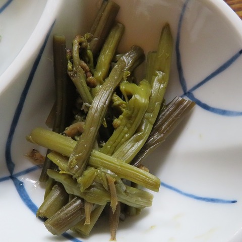 山菜⑥(兜家)