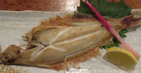 笹鰈(赤垣屋)