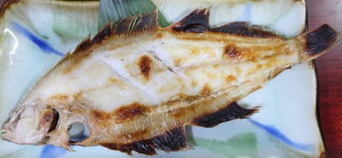 柳カレイ(越後八州)1500
