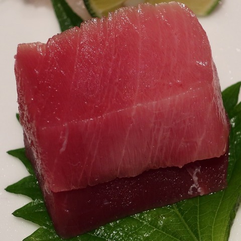鮪(蒼樹庵)