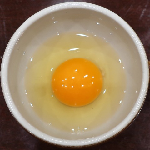 玉子(ざくろ)