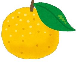 fruit_yuzu