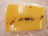 4e479b9d.jpg