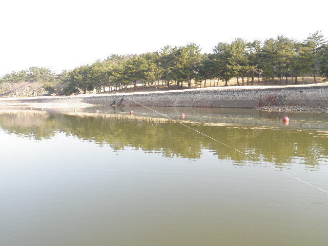 P4010198