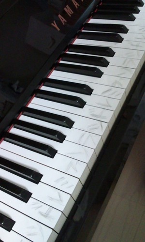 bd23836d.jpg