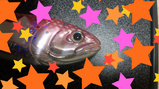 BlogPaint