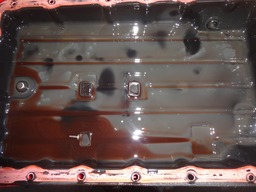 DSC03702