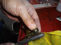 DSC05204