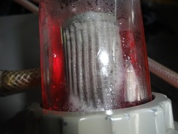 DSC03015