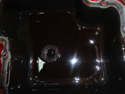 DSC01790