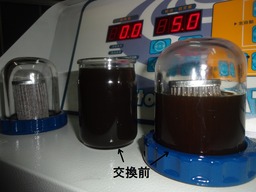 DSC04993