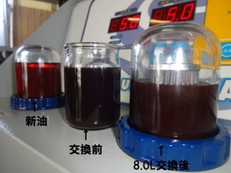 DSC03800
