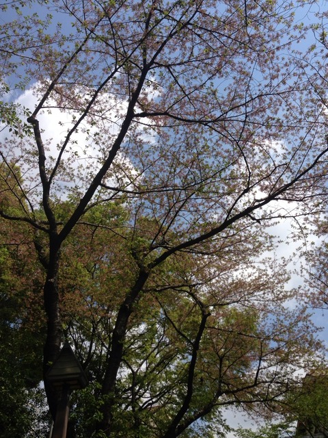 2014-04-14-10-44-01