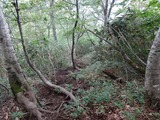 弥勒新道