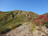 駒ヶ岳を望む
