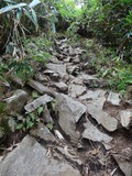 山頂への急登