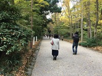 IMG_1820