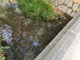 IMG_1841