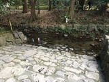 IMG_1844