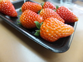 DSCF1760