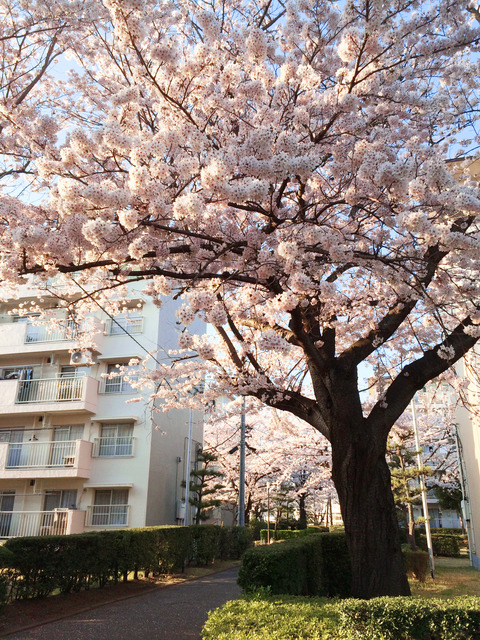 20150402_D