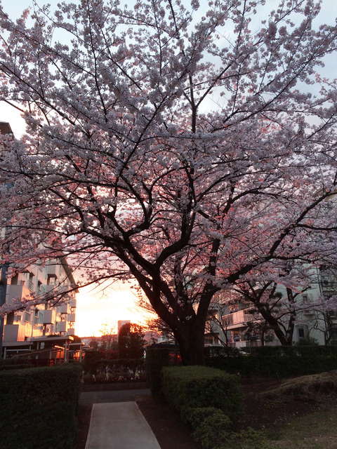 20150402_G