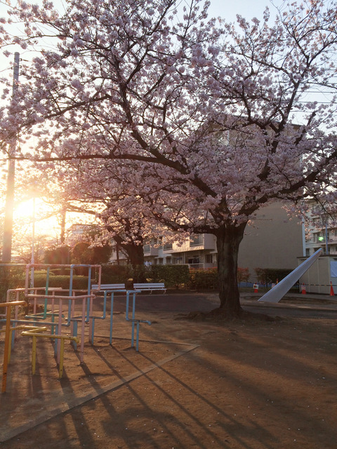 20150402_F