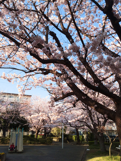 20150402_A
