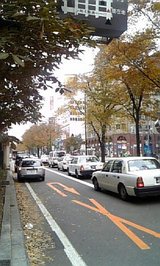 9828d9e5.jpg