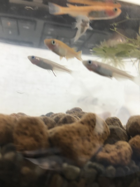 写真 2018-07-16 午後0 05 16