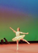 DSCF2235