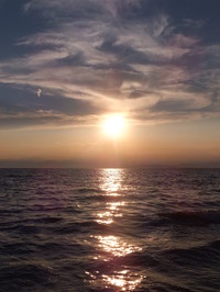 DSCF3656