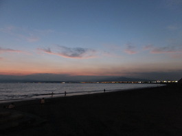 DSCF3671