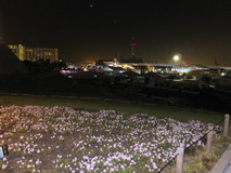 DSCF2378