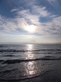 DSCF3635