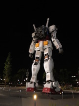 DSCF2385