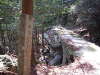 モエ坂 不動橋